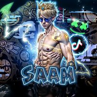 saam.1.1