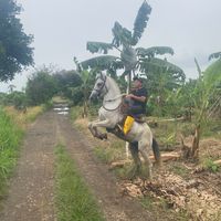 alejandro.aviles31