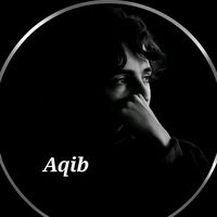 rana.aqib.numberdar
