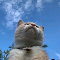 suara asli - Noy <3