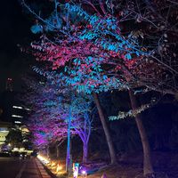 オリジナル楽曲 - ❀ᗰᗩᗰᗩ❀