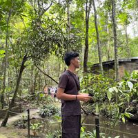 original sound - amiruln9