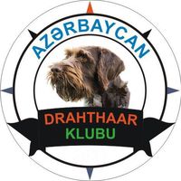 drahthaar.azerbaycan