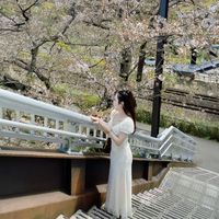 nhạc nền - Mẹ Bối ❤