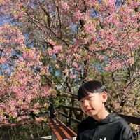 junhoomaugust