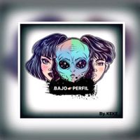 bajo_perfil_oficial0