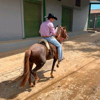 serginhoanalio