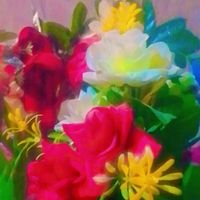 shazin.khan45