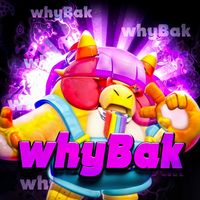 whybak.bs