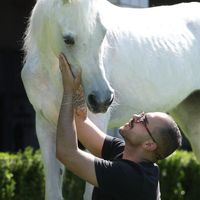 barhajaj_horses