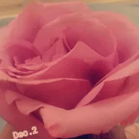 original sound - dr.hajarah7