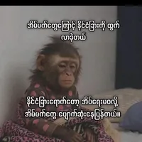 original sound - foxoriginalvideo