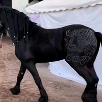 jesusalbertoreyes69