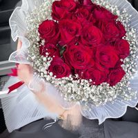 farah_nory
