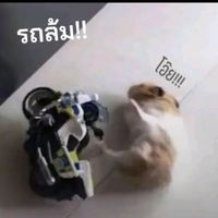 เสียงต้นฉบับ - นุ๊กที่ติ๋มๆอ่ะ