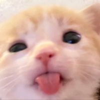 pinkmioru