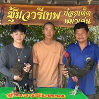 non_singhapanda