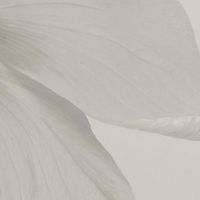 original sound - julie⸆⸉