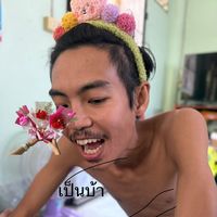 nut3838