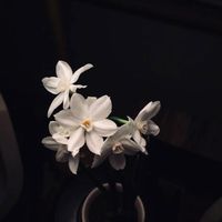 linda.k_23