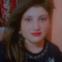 user06519322