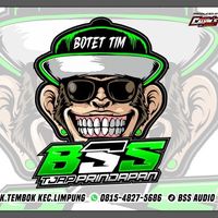 suara asli - BSS AUDIO🔊🔊