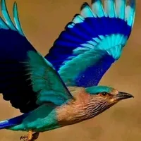 original sound - darkqueen2451