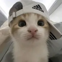 original sound - mang_ks0