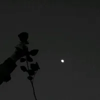 original sound - 1alalei