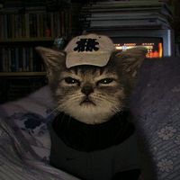 original sound - ☆☆☆ᴀʏᴀɴɢᴀɴᴍᴏᴠᴇʀs☆☆☆