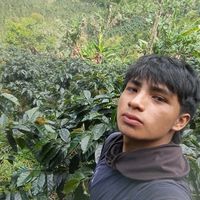 tomi015