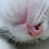 オリジナル楽曲 - ときめきメモリアル