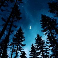 оригинальный звук