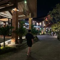 nhạc nền - ben live