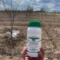 xbiogea