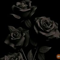 dowlet_292