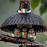 testerseulement
