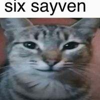 kiszamj