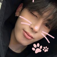 ww_whiskas