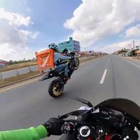 urdadhere6