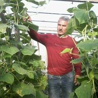 .ebulfethesenov