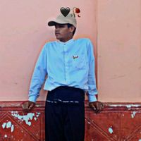 tiger.myanmarno2