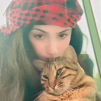 honey786789