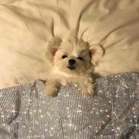 제 음원 아니에요 ᅮᅮ