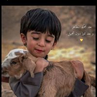 hadi8918796016943