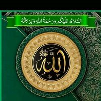 niazi__wri8
