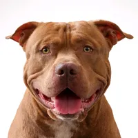 original sound - meu_pit_theo