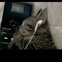 original sound - princesspeul14