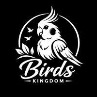 original sound - birdsxkingdom