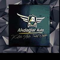 akdaglar_auto